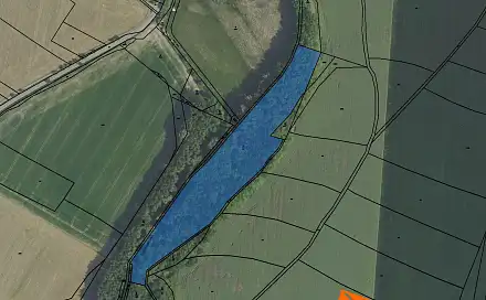 Prodej lesa 1 833 m², Bečváry, okres Kolín