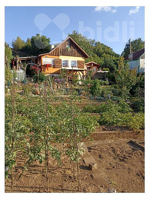 Prodej louky 655 m² — photo 3