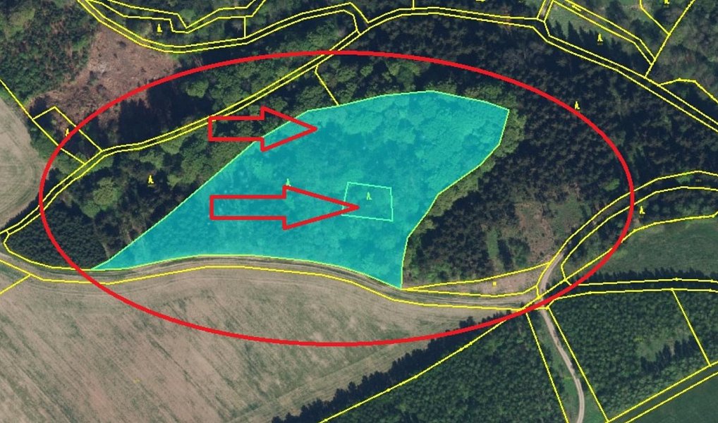 Prodej lesa 5 585 m², Liberk – náhled fotky 14