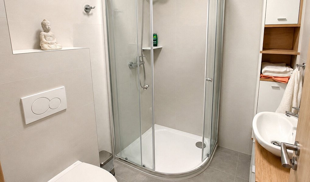 Pronájem domu 65 m² s pozemkem 108 m², Staré Město – náhled fotky 8