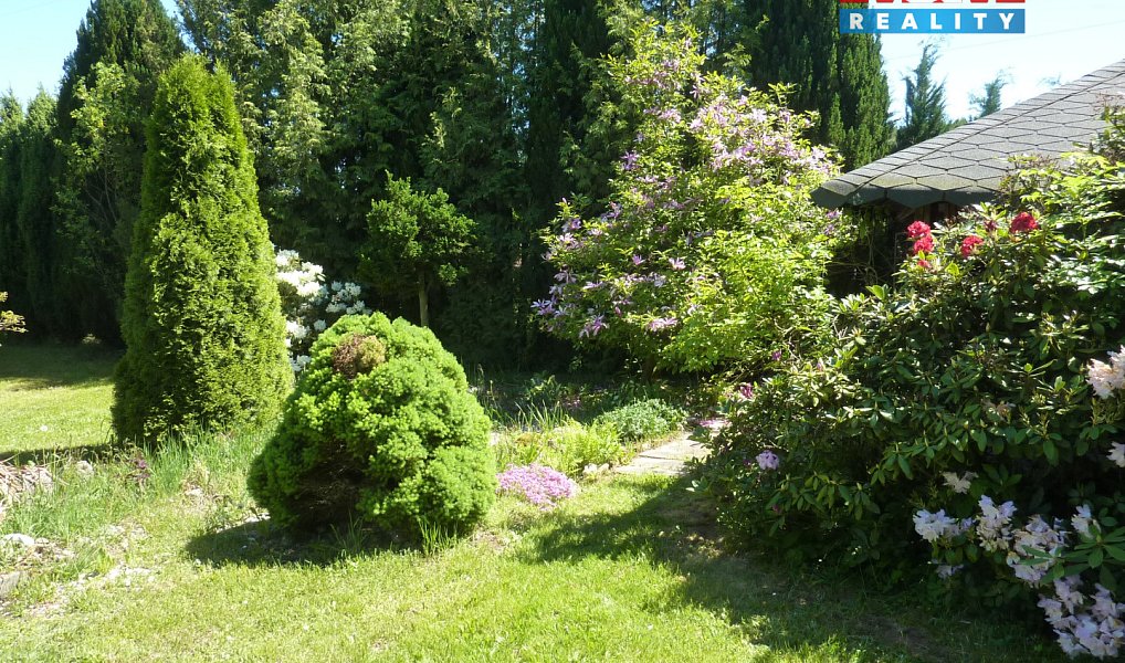 Prodej zahrady 5 538 m², Hronov – náhled fotky 6