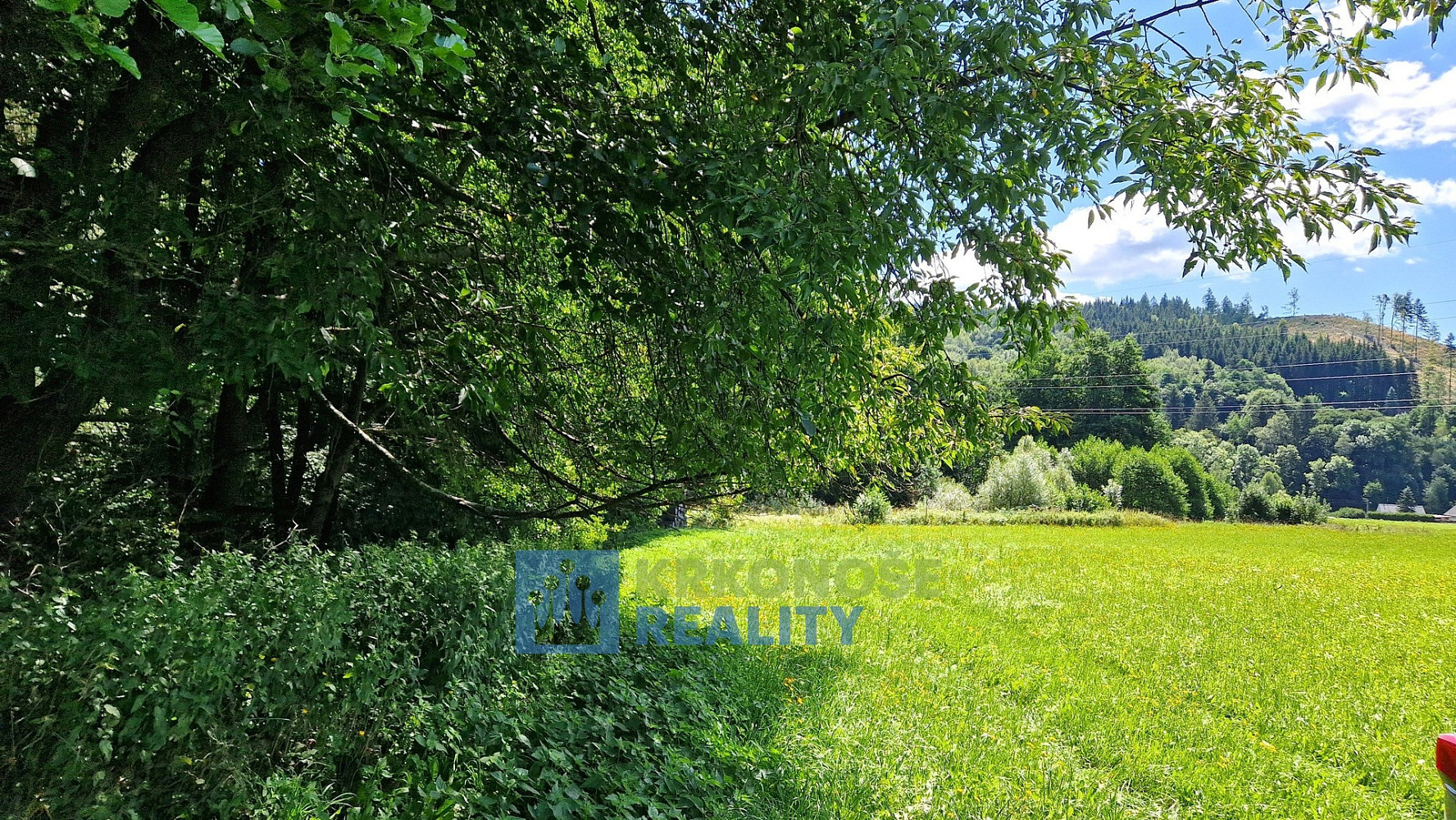 Prodej podílu 1/2 pozemky - trvalý travní porost, 68 585 m² - Trutnov - Babí – pohled 4