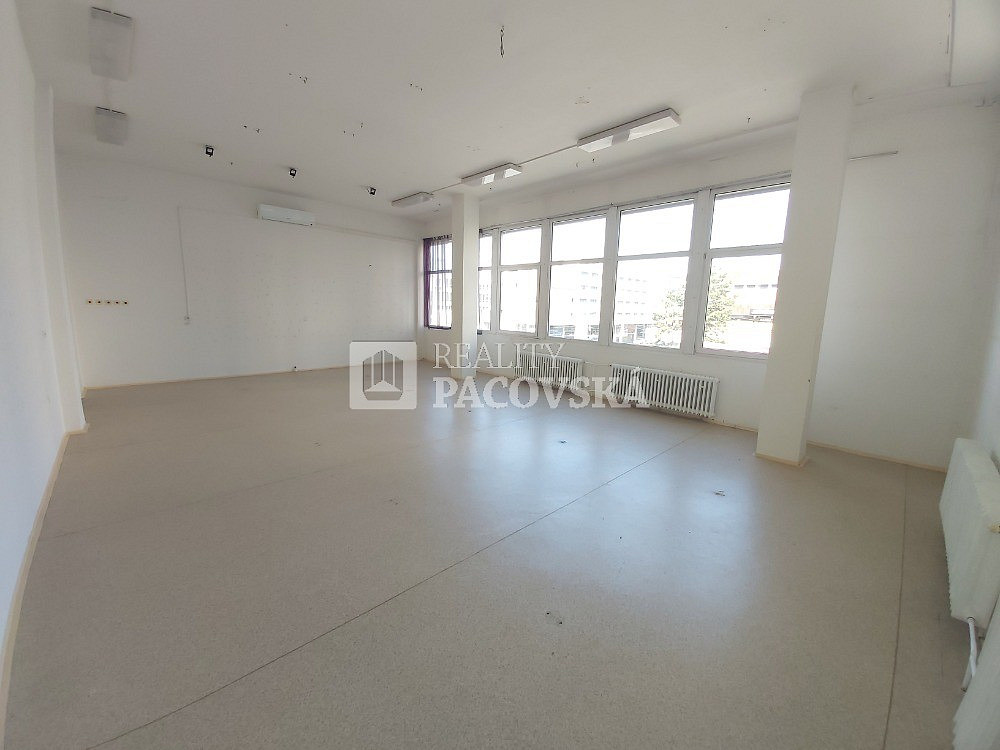 Pronájem obchodních prostor 787 m² – fotografie 3