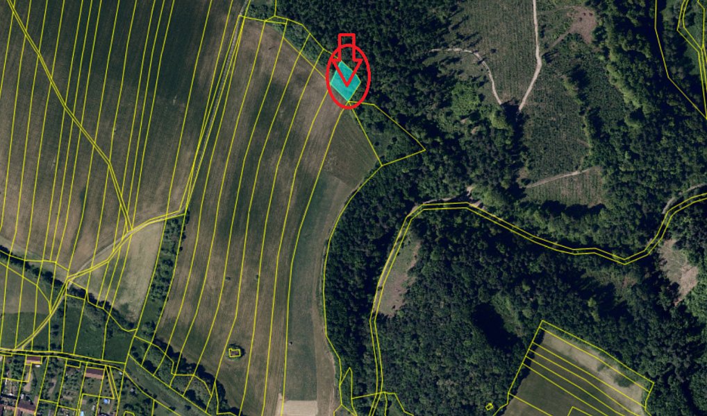 Prodej lesa 1 783 m², Ježkovice – náhled fotky 5