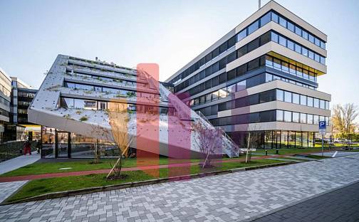 Pronájem kanceláře 1 380 m², Menclova, Praha 8 - Libeň