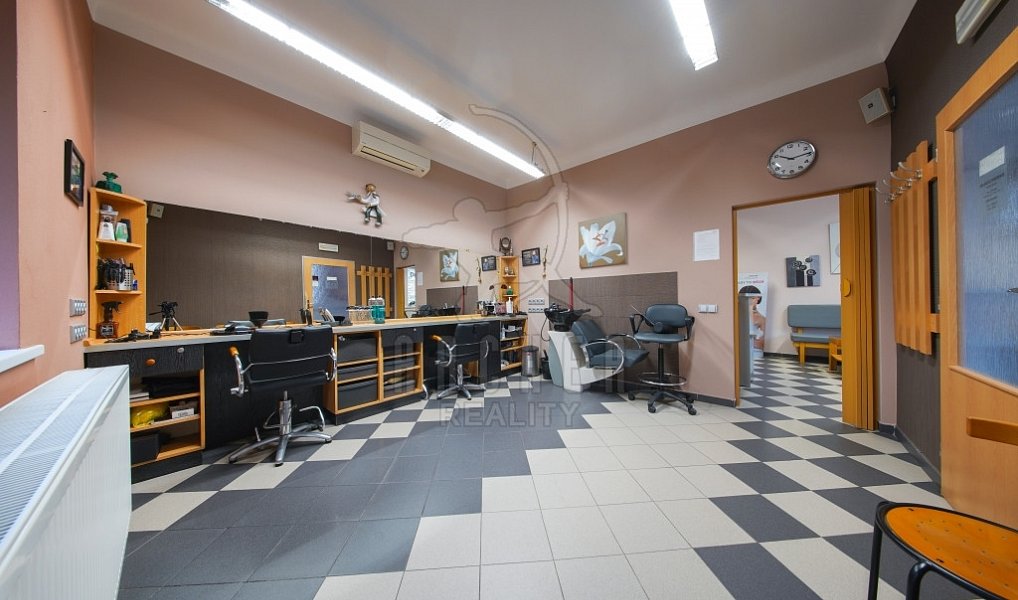Prodej domu 324 m² s pozemkem 399 m², Praha – náhled fotky 3