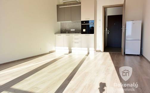 Pronájem bytu 1+kk 30 m², Mantovská, Praha 10 - Horní Měcholupy