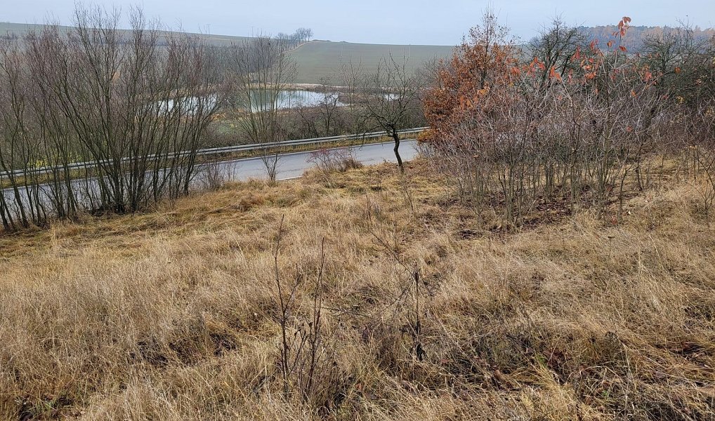 Prodej louky 6 483 m², Třebsko – náhled fotky 6