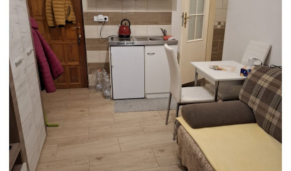 Pronájem bytu 1+kk 25 m², Holubice – náhled fotky 6