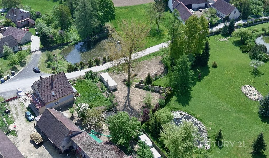 Prodej louky 1 146 m², Neustupov – náhled fotky 7
