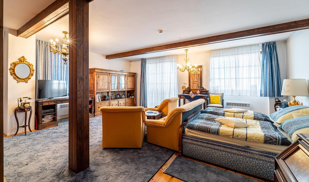 Prodej domu 923 m² s pozemkem 12 441 m², Velké Hamry – náhled fotky 13