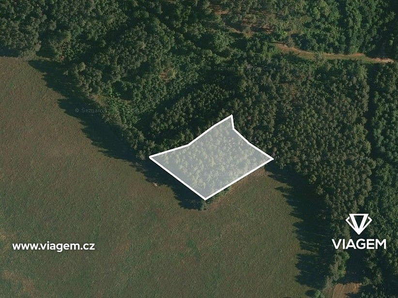 Prodej lesa 978 m² – fotografie 2