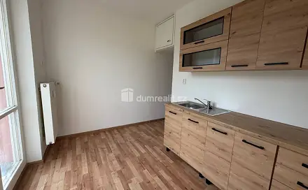 Prodej bytu 2+1 55 m², Hranice - Studánka, okres Cheb