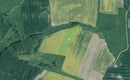 Prodej pole 15 736 m², Bernartice - Rakov, okres Písek