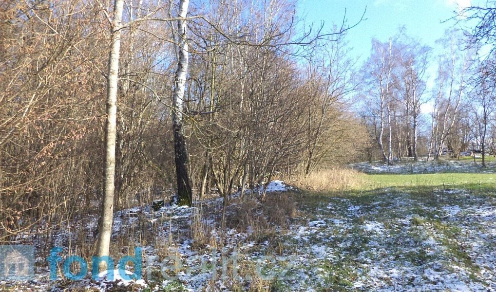 Prodej pozemku 3 575 m², Staré Město pod Landštejnem – náhled fotky 5