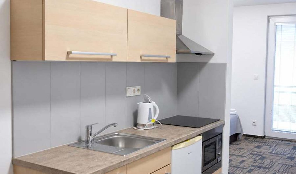 Prodej bytu 1+kk 41 m², Brno – náhled fotky 11