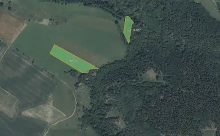 Prodej pole 13 082 m², Drhovy, okres Příbram
