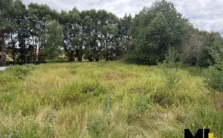 Prodej louky 1 500 m², Horšovský Týn, okres Domažlice