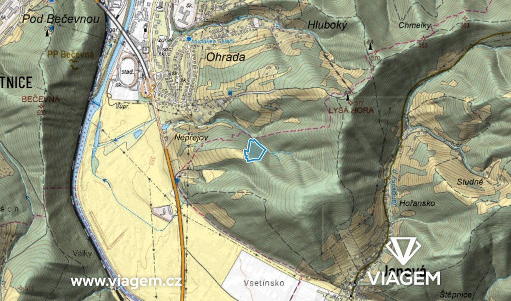 Prodej lesa 5 802 m², Janová – náhled fotky 3
