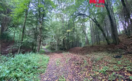 Prodej louky 2 261 m², Strážná, okres Ústí nad Orlicí