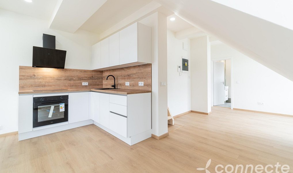 Prodej bytu 1+kk 45 m², Nový Bor – náhled fotky 12