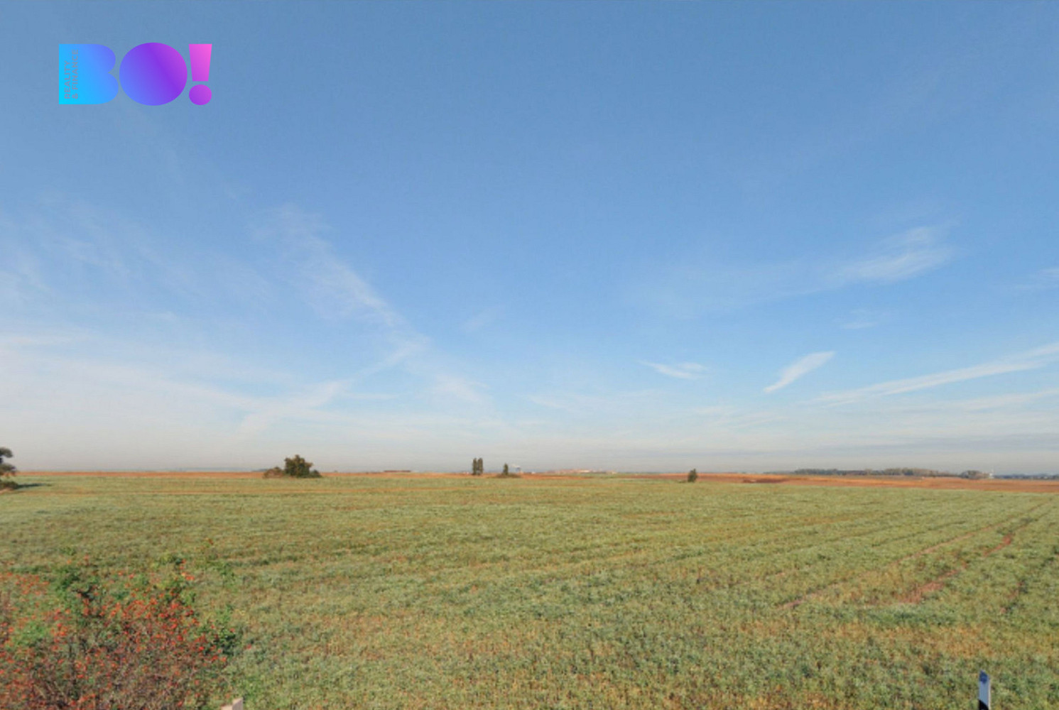 Prodej pole 35 000 m² – fotografie 3