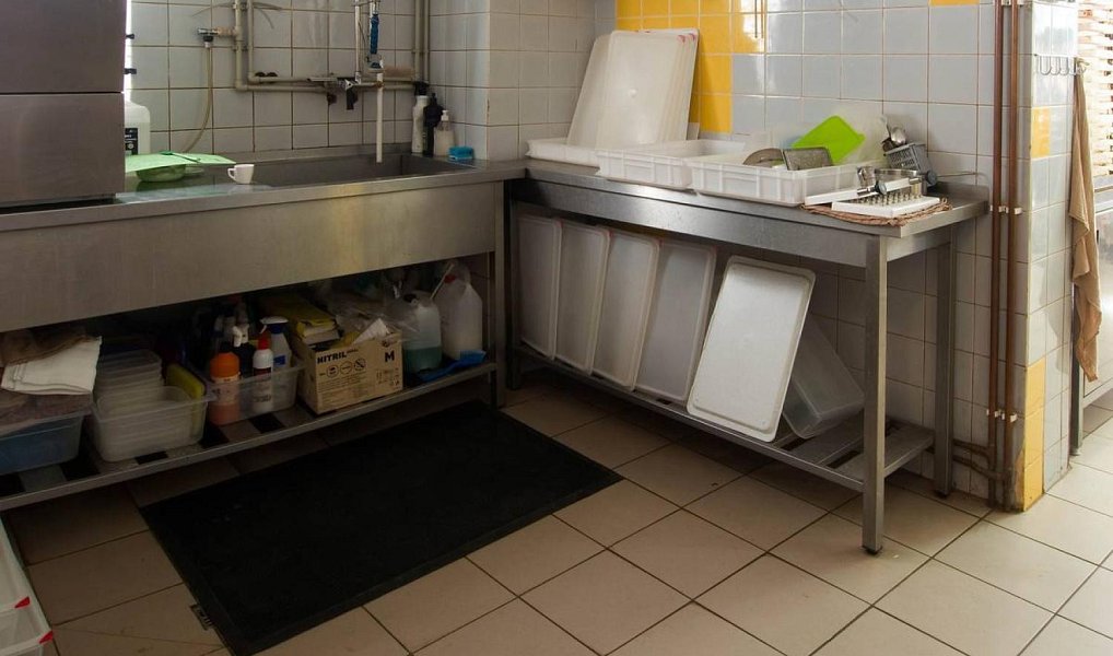 Prodej domu 800 m² s pozemkem 586 m², Třebechovice pod Orebem – náhled fotky 10