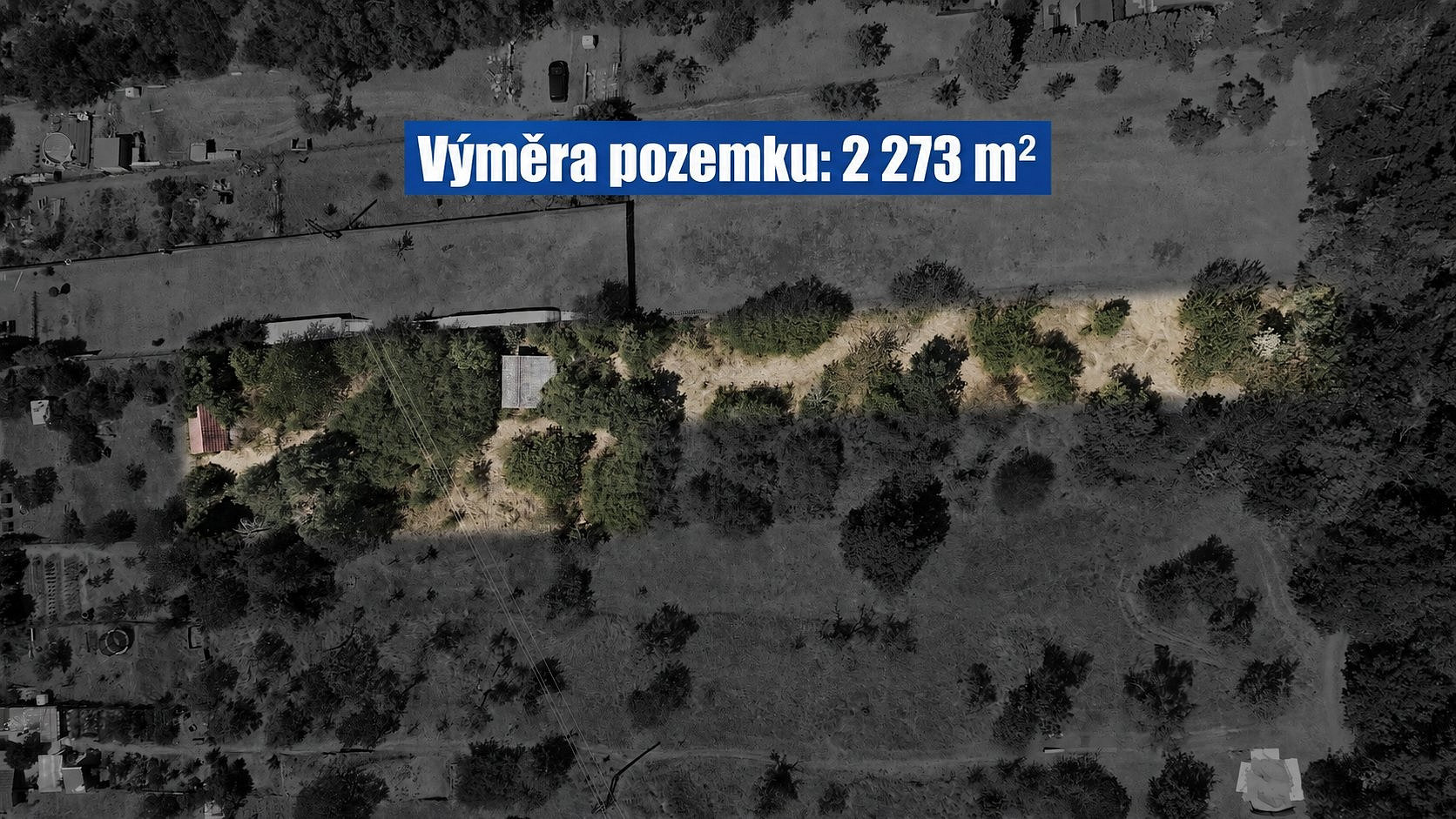 Fotka 6 z 12