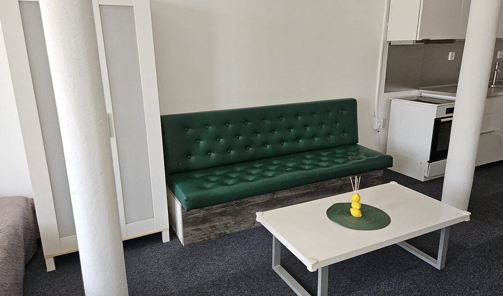 Pronájem bytu 1+kk 60 m², Hranice – náhled fotky 4