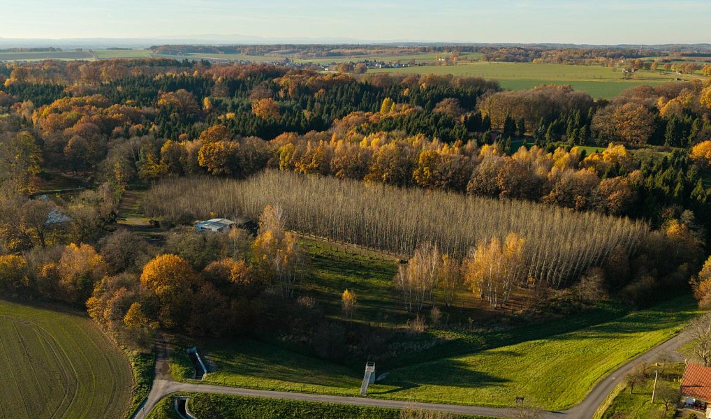 Pronájem komerčního pozemku 22 800 m², Markvartovice – náhled fotky 10