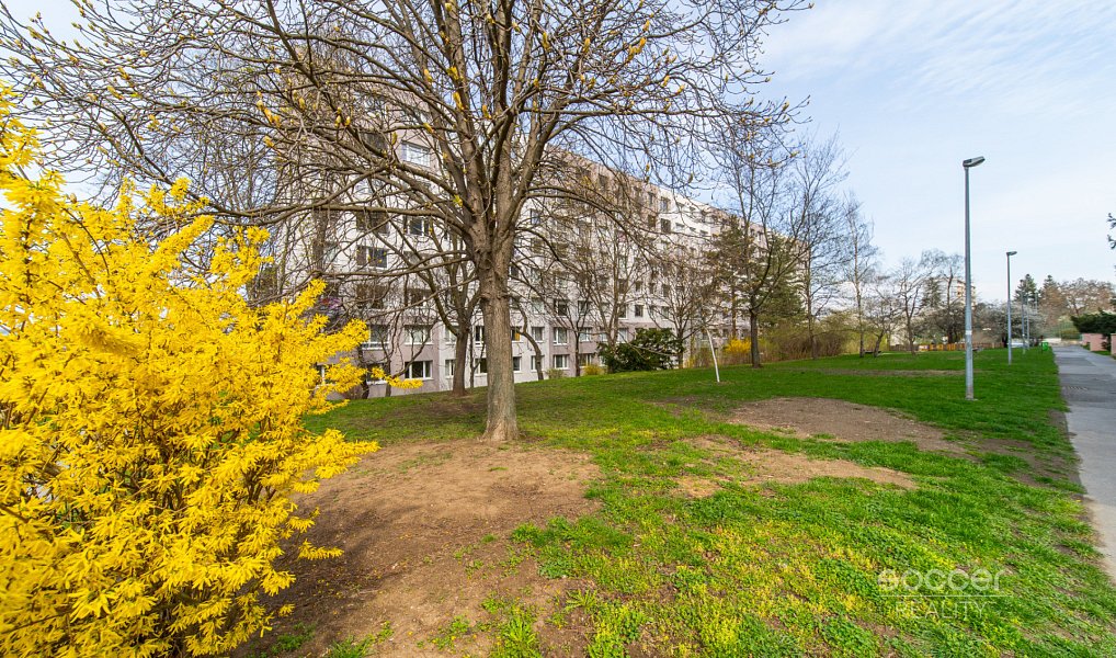 Pronájem bytu 3+1 69 m², Praha – náhled fotky 2
