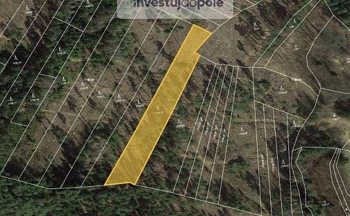 Prodej lesa 3 635 m², Zálezly, okres Prachatice