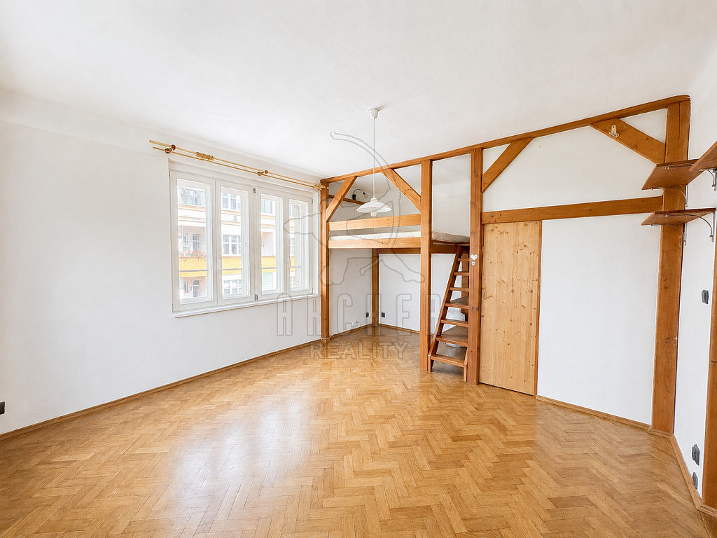 2+kk Apartment in Praha, Žižkov – pohled 2