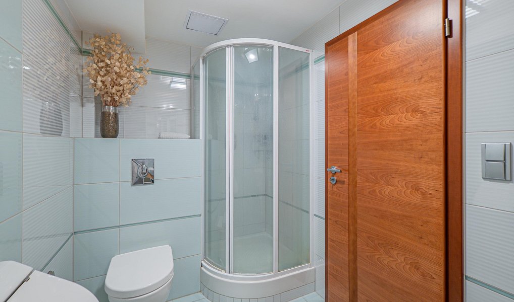 Prodej bytu 5+kk 199 m², Plzeň – náhled fotky 11