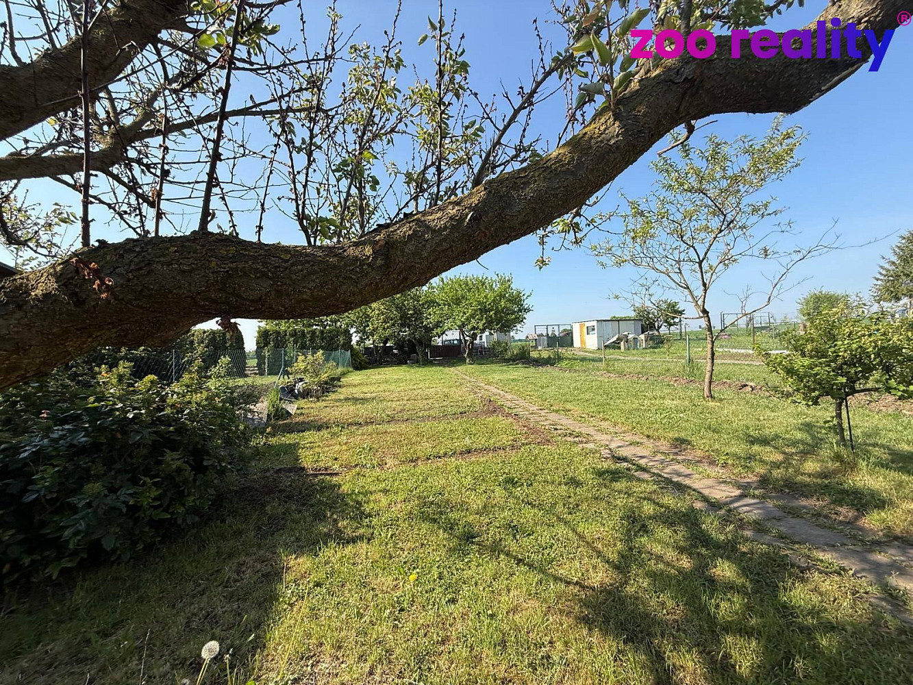 Prodej zahrady 428 m² — photo 3