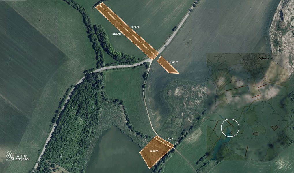 Prodej pole 194 311 m², Čejkovice – náhled fotky 6
