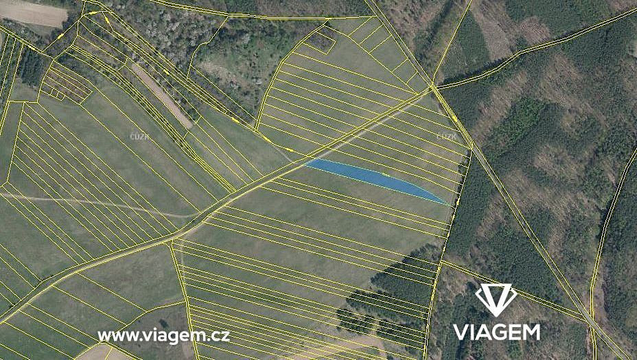 Pole 3 893 m², Podíl 33 % o výměře 1 298 m² – pohled 4