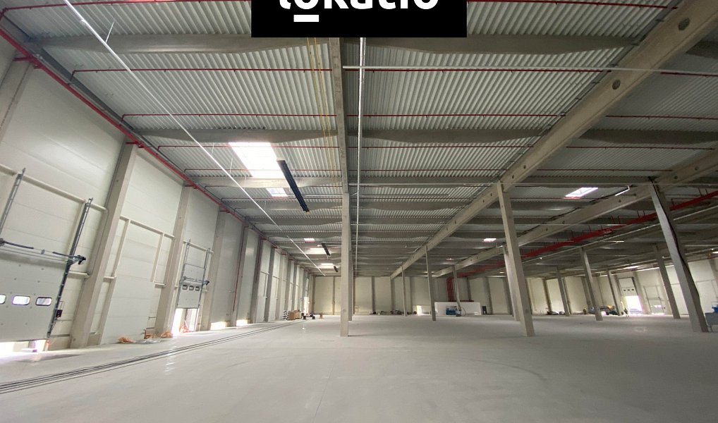 Pronájem výrobních prostor 3 602 m², Olomouc – náhled fotky 3
