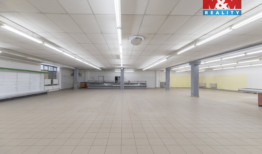 Prodej obchodních prostor 1 150 m², Frýdek-Místek – náhled fotky 9