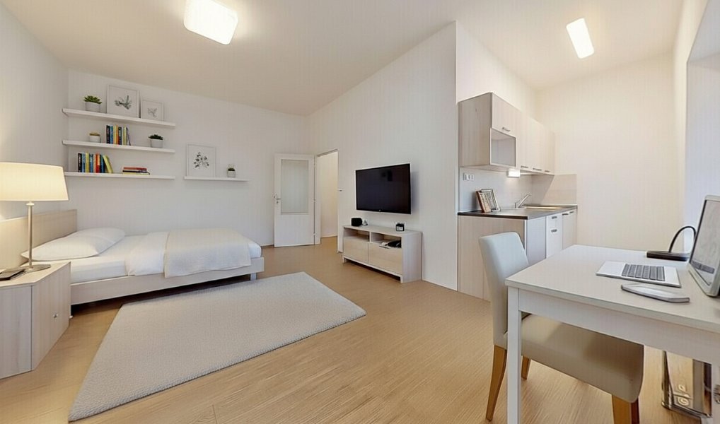 Pronájem bytu 1+kk 30 m², Ostrava – náhled fotky 2