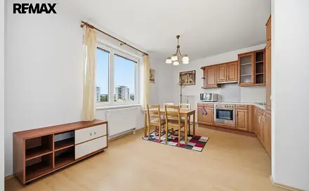 Pronájem bytu 1+kk 45 m²