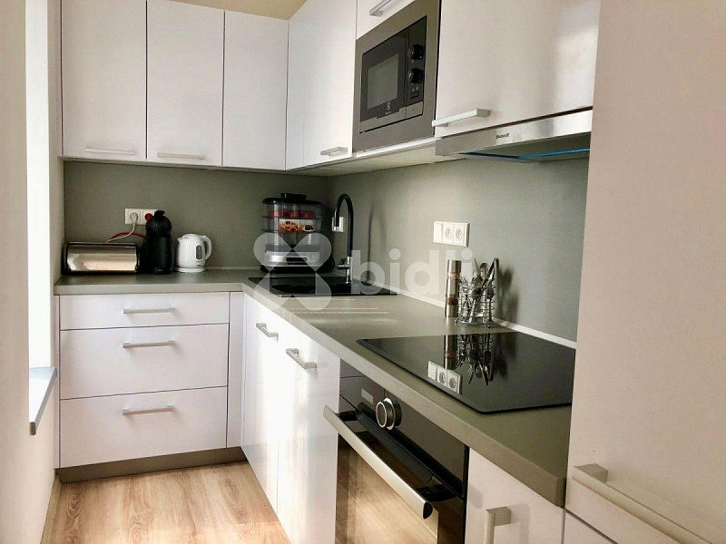 Pronájem bytu 1+kk 32 m² – fotografie 3