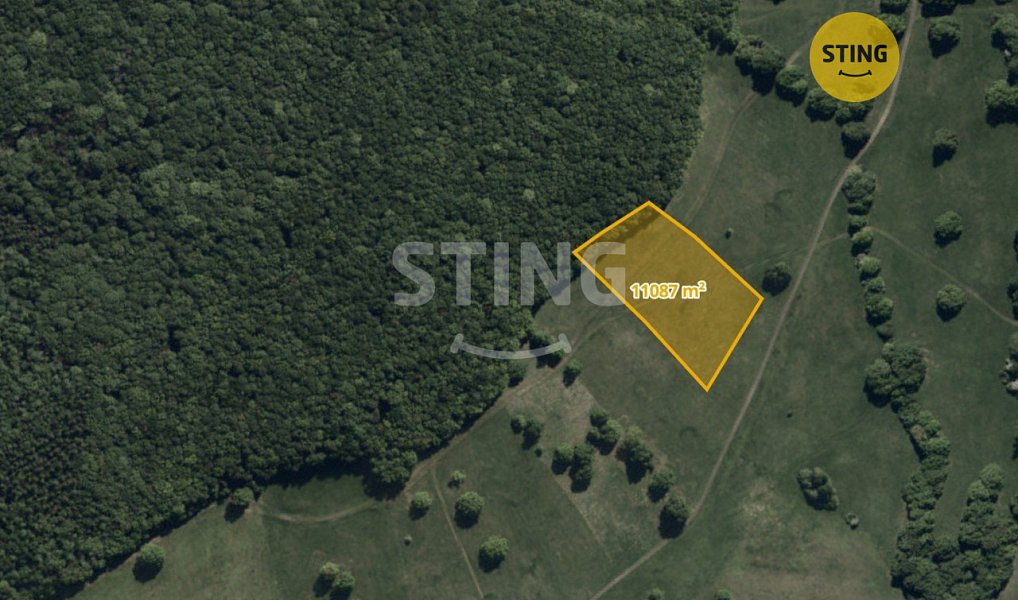 Prodej lesa, 11087 m², Hodonín, Hrubá Vrbka