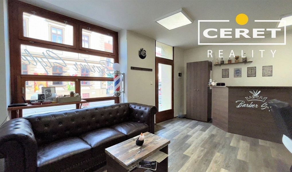 Prodej domu 139 m² s pozemkem 77 m², Žatec – náhled fotky 16