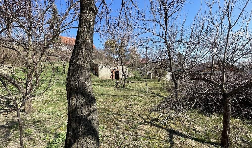 Prodej vinného sklepa s pozemkem (663 m2) ve Valticích-část Úvaly., Valtice – náhled fotky 4