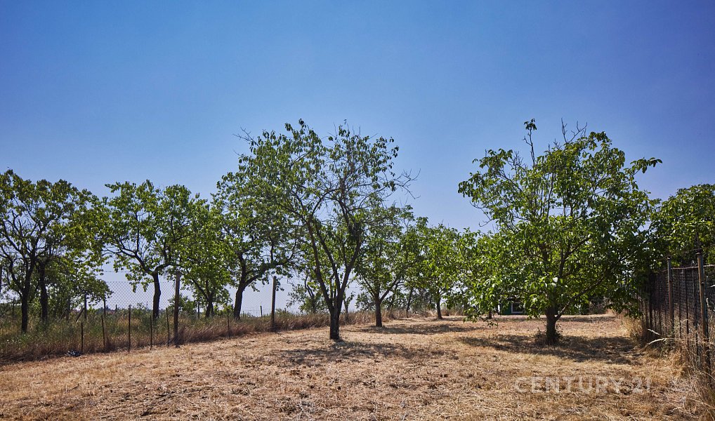 Prodej zahrady 1 034 m², Suchohrdly – náhled fotky 6