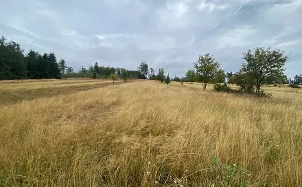 Dražba louky 3 408 m², Český Rudolec