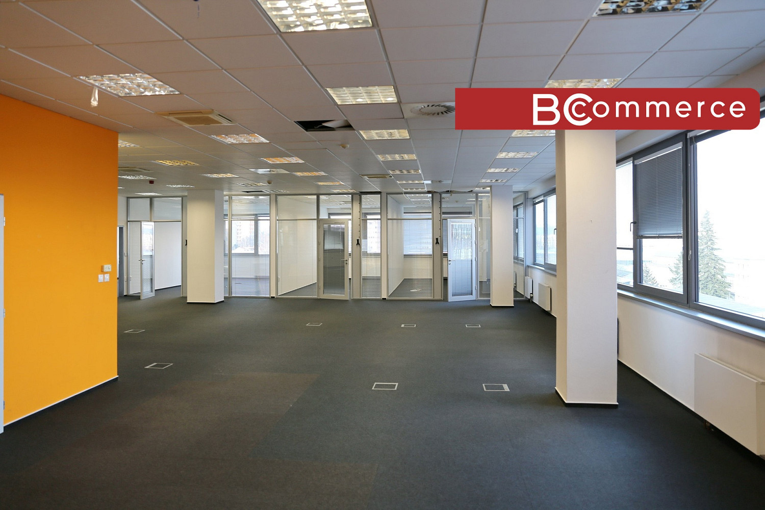 Pronájem kanceláře 300 m² – fotografie 5