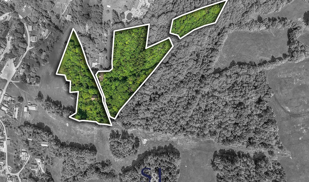 Prodej stavebního pozemku 27 729 m², Zlatá Olešnice – náhled fotky 4