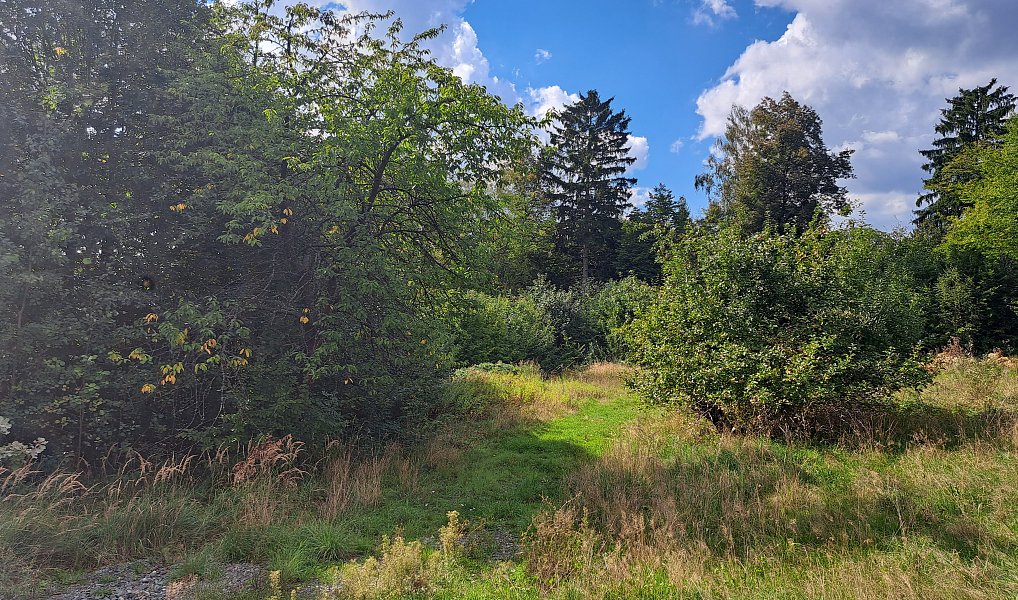 Prodej stavebního pozemku 3 619 m², Nemojov – náhled fotky 5